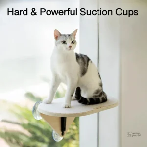 Accessoire pour chat à ventouse, sécurité renforcée