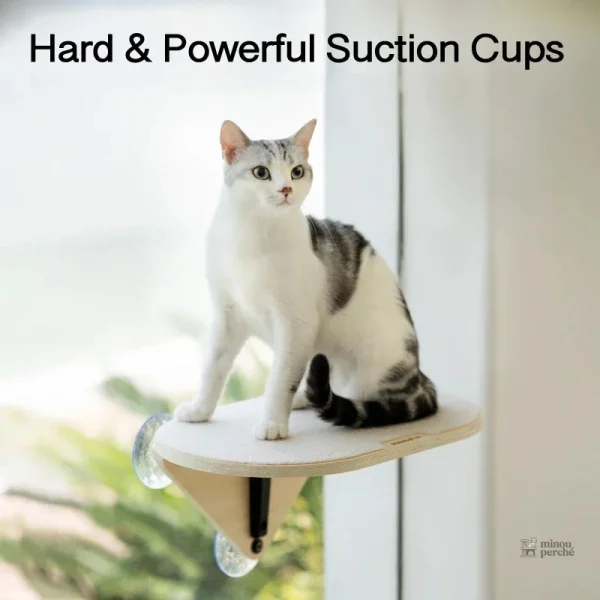 Accessoire pour chat à ventouse, sécurité renforcée