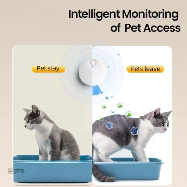 AirClean Pro : technologie anti-odeurs pour chats