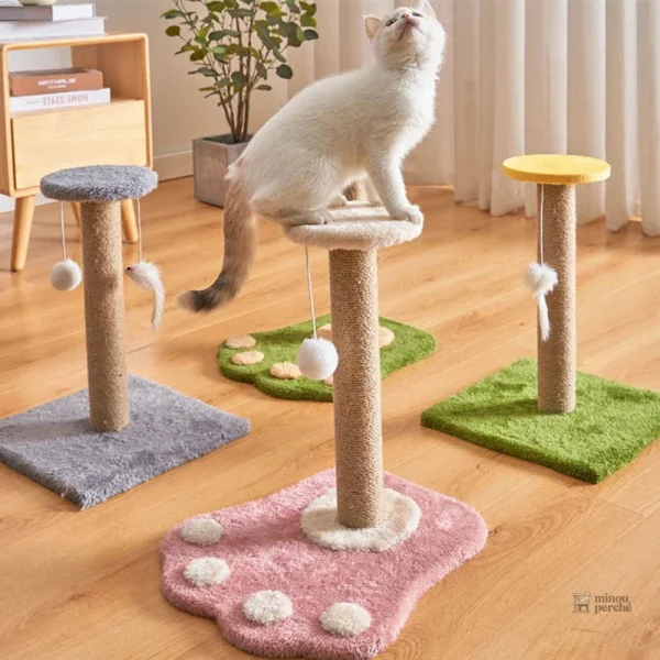 Griffoir pour chat avec jouet suspendu