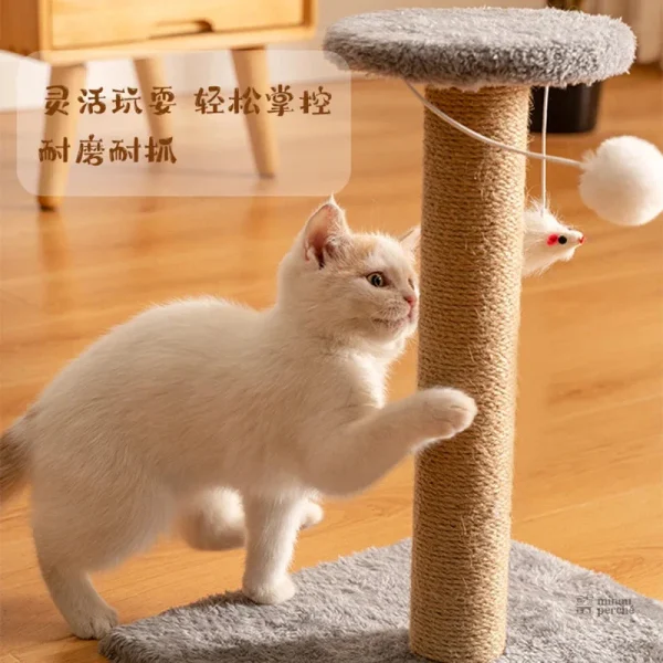 Griffoir PawMaster pour divertissement félin
