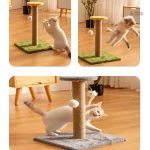 Arbre à chat en sisal pour griffades saines