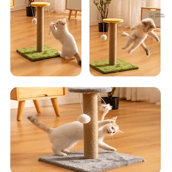 Arbre à chat en sisal pour griffades saines