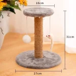 PawMaster : griffoir avec jouet pour chats curieux