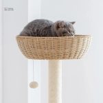 Design minimaliste pour les amoureux des chats