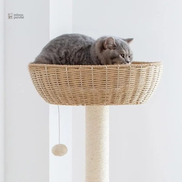 Design minimaliste pour les amoureux des chats