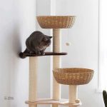 Un arbre à chat qui allie style et praticité