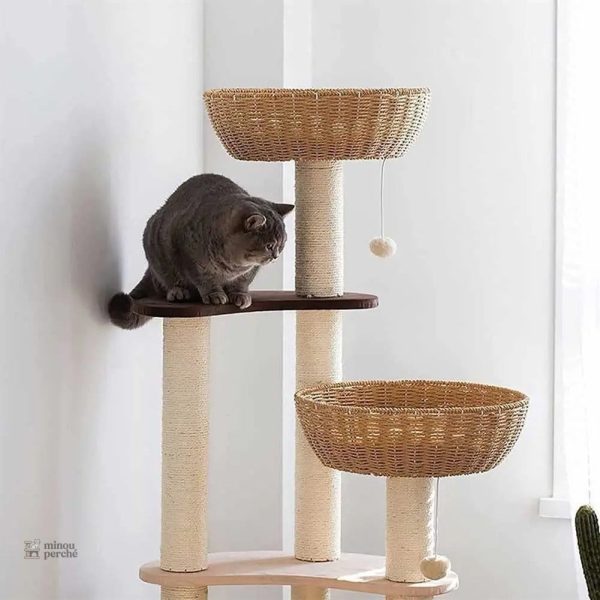 Un arbre à chat qui allie style et praticité