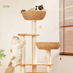 SkyNest : confort et design pour vos animaux