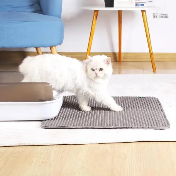 Litière chat avec protection contre les fuites