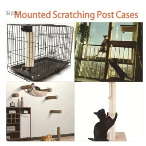 Accessoire de jeu pour chats