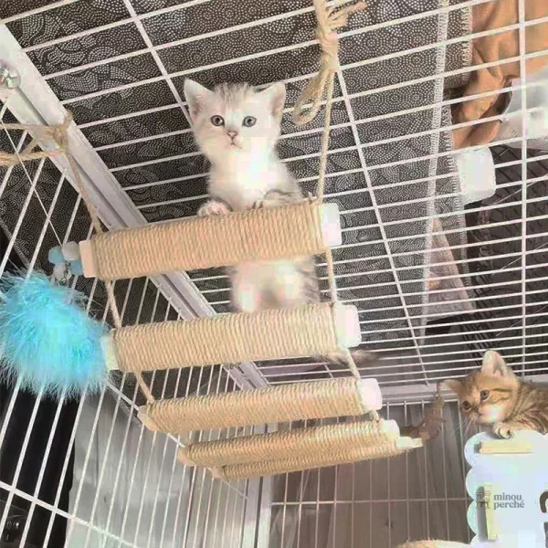 Pont suspendu en bois pour chats