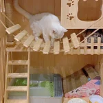 Accessoire arbre à chat Acrobatix