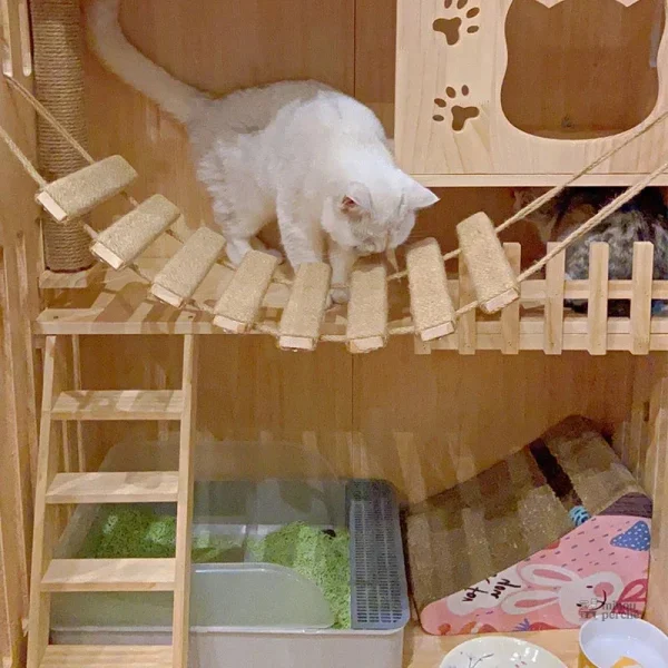 Accessoire arbre à chat Acrobatix
