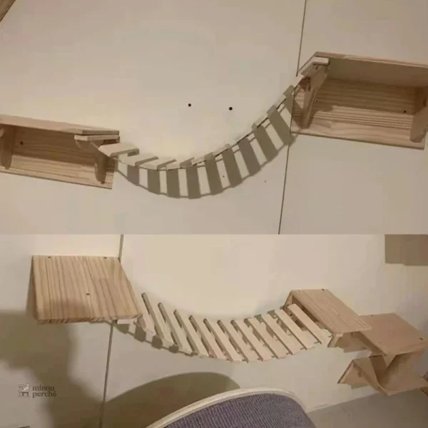 Structure de jeu pour félins actifs