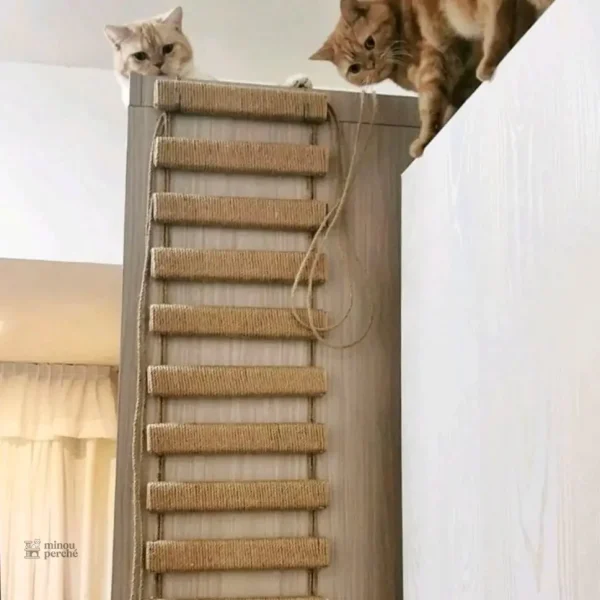 Echelle pour chats avec design suspendu