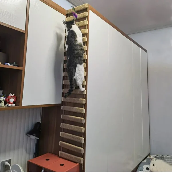 Arbre à chat avec pont suspendu pour ludiques félins