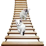 Structure d'escalade pour chats - modèle CatAventure