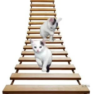 Structure d'escalade pour chats - modèle CatAventure