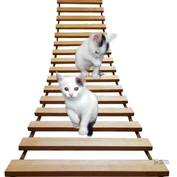 Structure d'escalade pour chats - modèle CatAventure