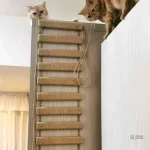 Pont pour chats avec design attrayant et fonctionnel