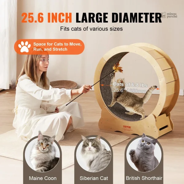 Roue à chat en bois, idéale pour le jeu intérieur