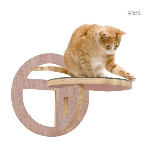 Arbre à chat mural en bois - Modèle Escalopati